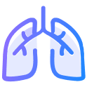 Lungs